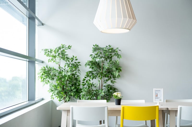 Green Living DIYs
